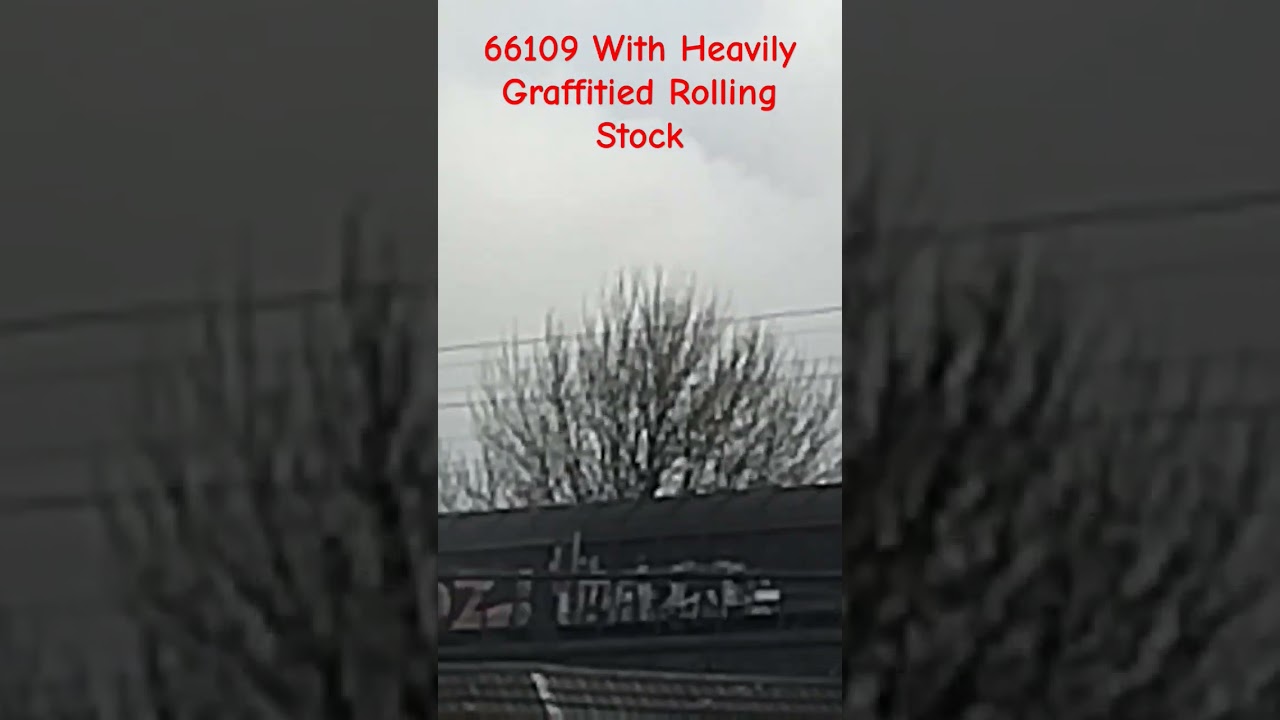 66109 DB Branding/PD Ports Livery