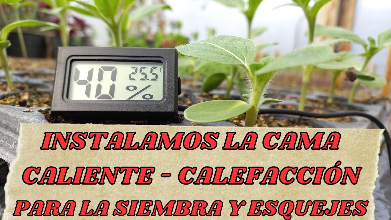 INSTALAMOS LA CAMA CALIENTE - CALEFACCIÓN PARA LA SIEMBRA Y ESQUEJES