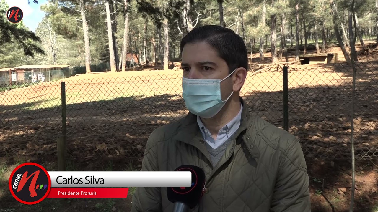 MATILHEIROS DE CAÇA MAIOR CONTAM COM APOIO DE ASSOCIAÇÕES