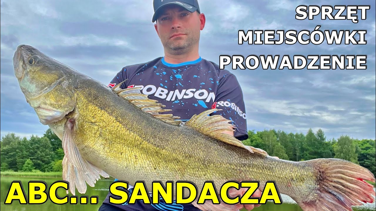JAK ZŁOWIĆ SANDACZA? miejscówki sprzęt i sposoby prowadzenia przynęty - Tu masz WSZYSTKO !!!