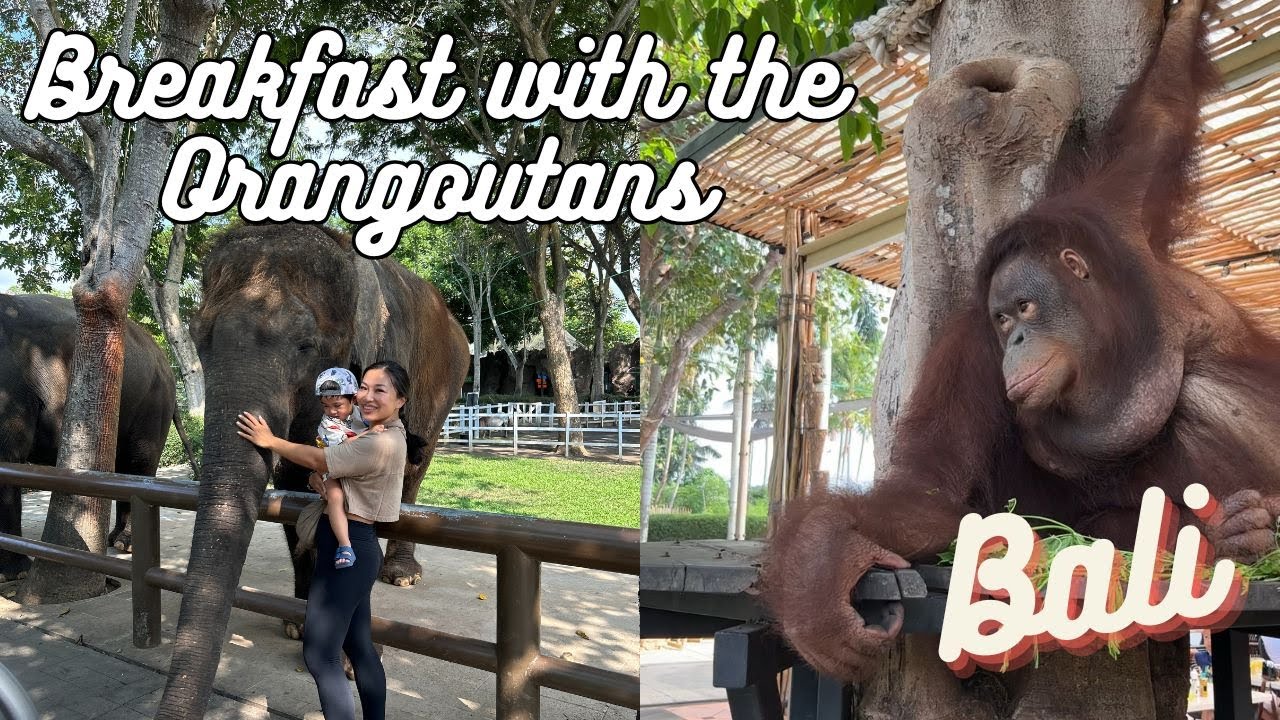 Ubud Zoo: Ethical?