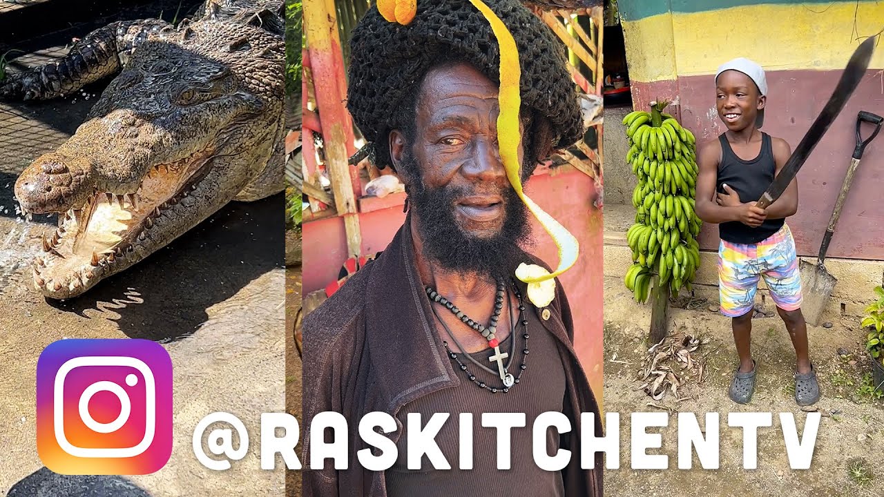 Crocodiles, Rasta Farming & Red Stripe Trucks! Instagram Stories 2022