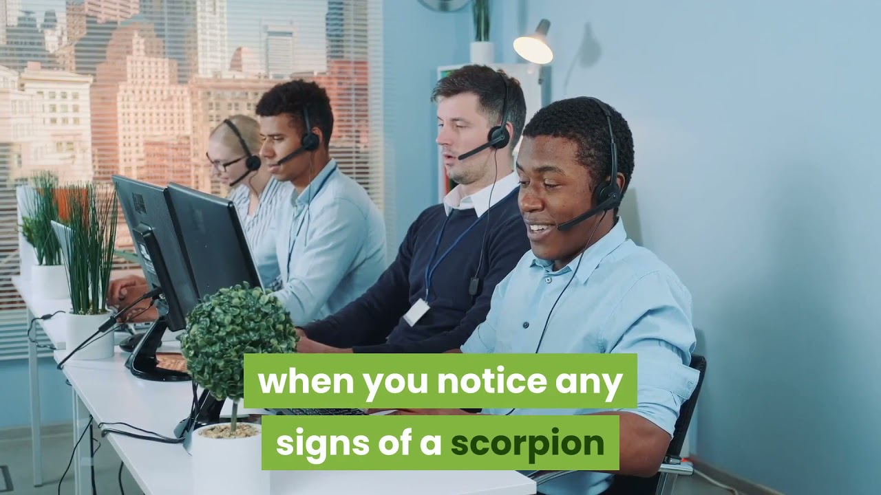 Scorpion Control Prescott