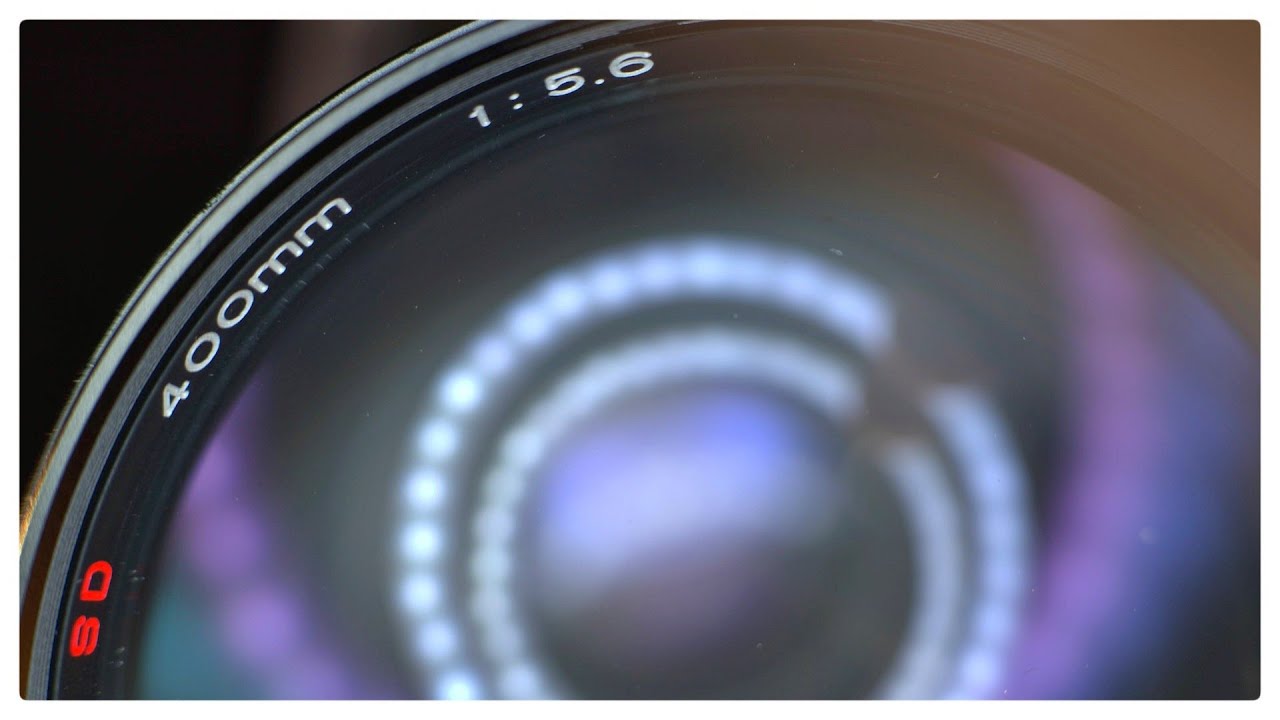Budget Birding With a VINTAGE 400mm Prime - first week review