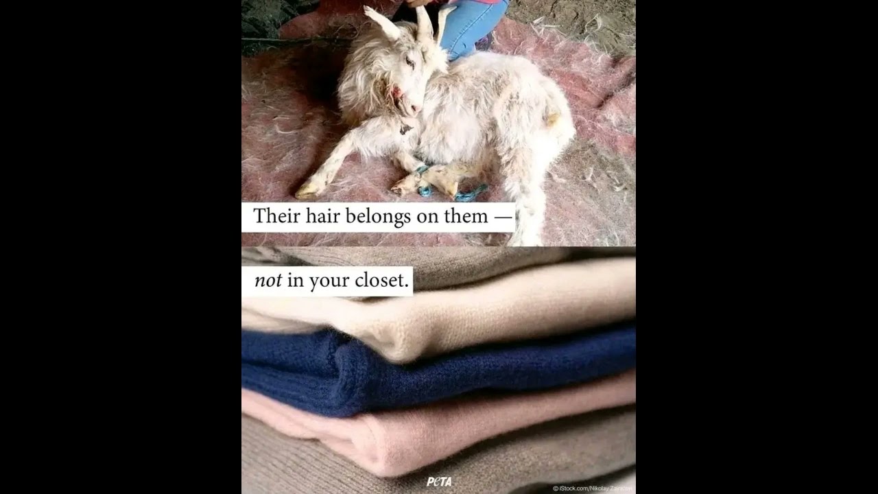 Our dread raises our weakness 