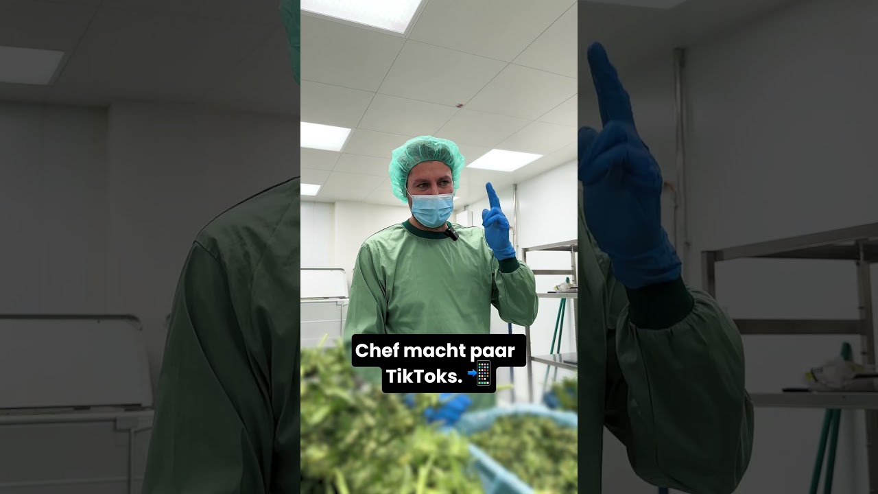 Ein Tag Praktikum als Erntehelferin! #demecan