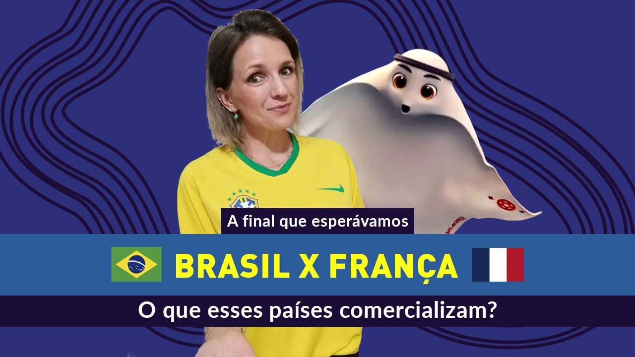 Brasil X Fran&ccedil;a  - O que esses pa&iacute;ses comercializam?