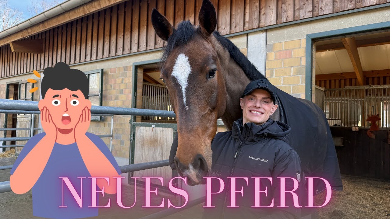 NEUES PFERD - Hallo Zasi, aber was ist mit Ori? 🤔🐴