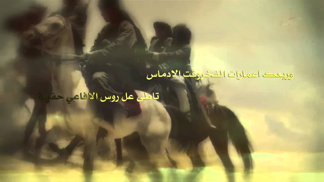 شيلة العزوه الوايليه | سلطان حمود HD
