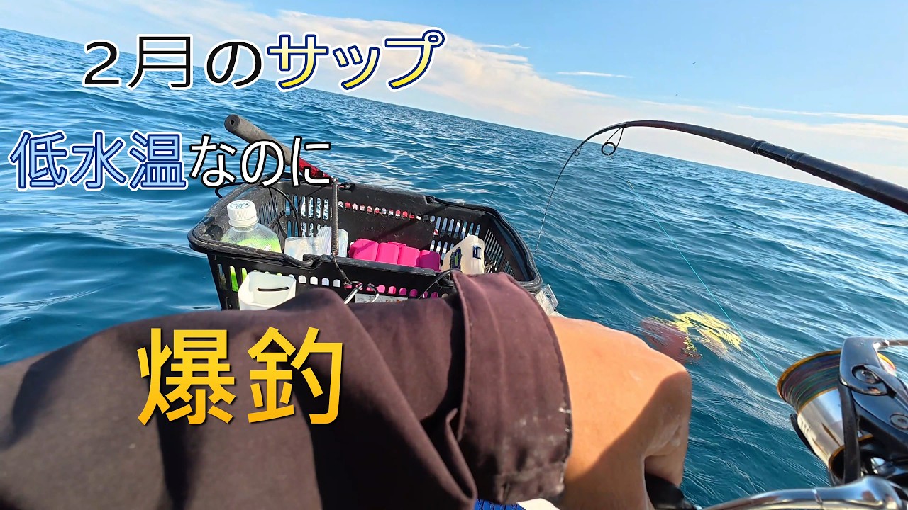 2月の低水温でもまさかの爆釣できるのがサップフィッシング！！
