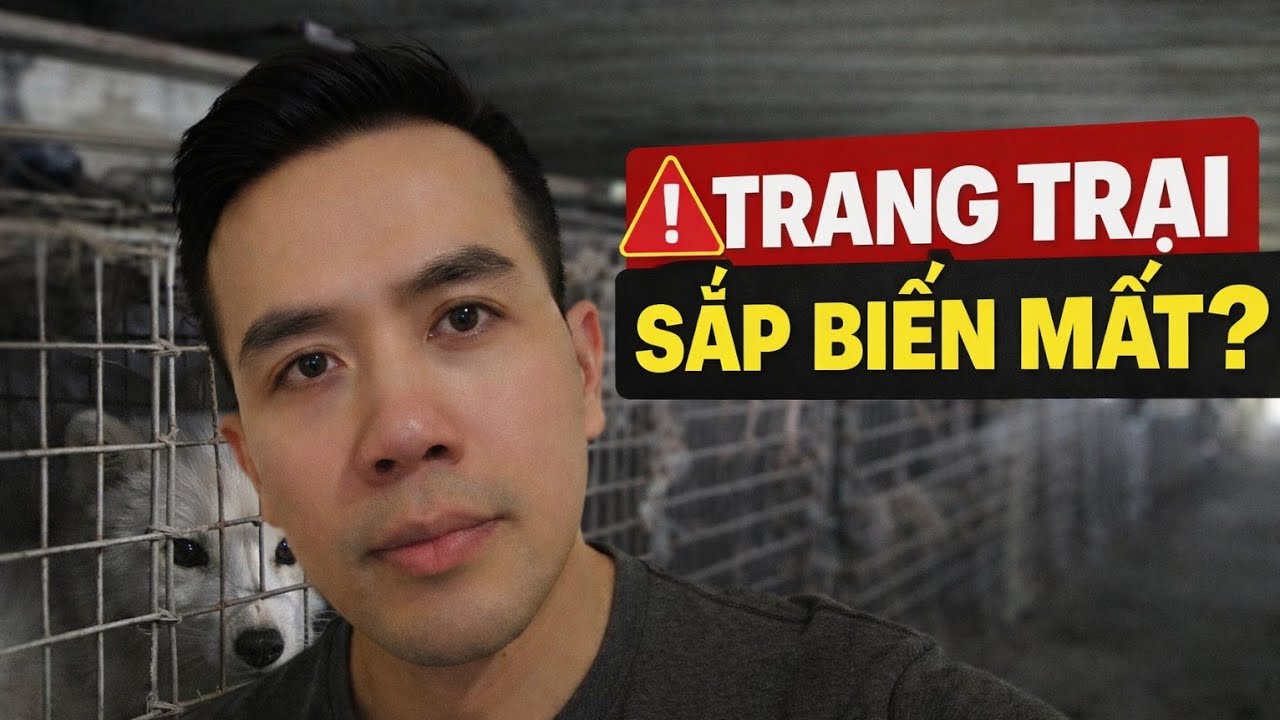 Nghề vặt lông ở Phần Lan sẽ bị cấm