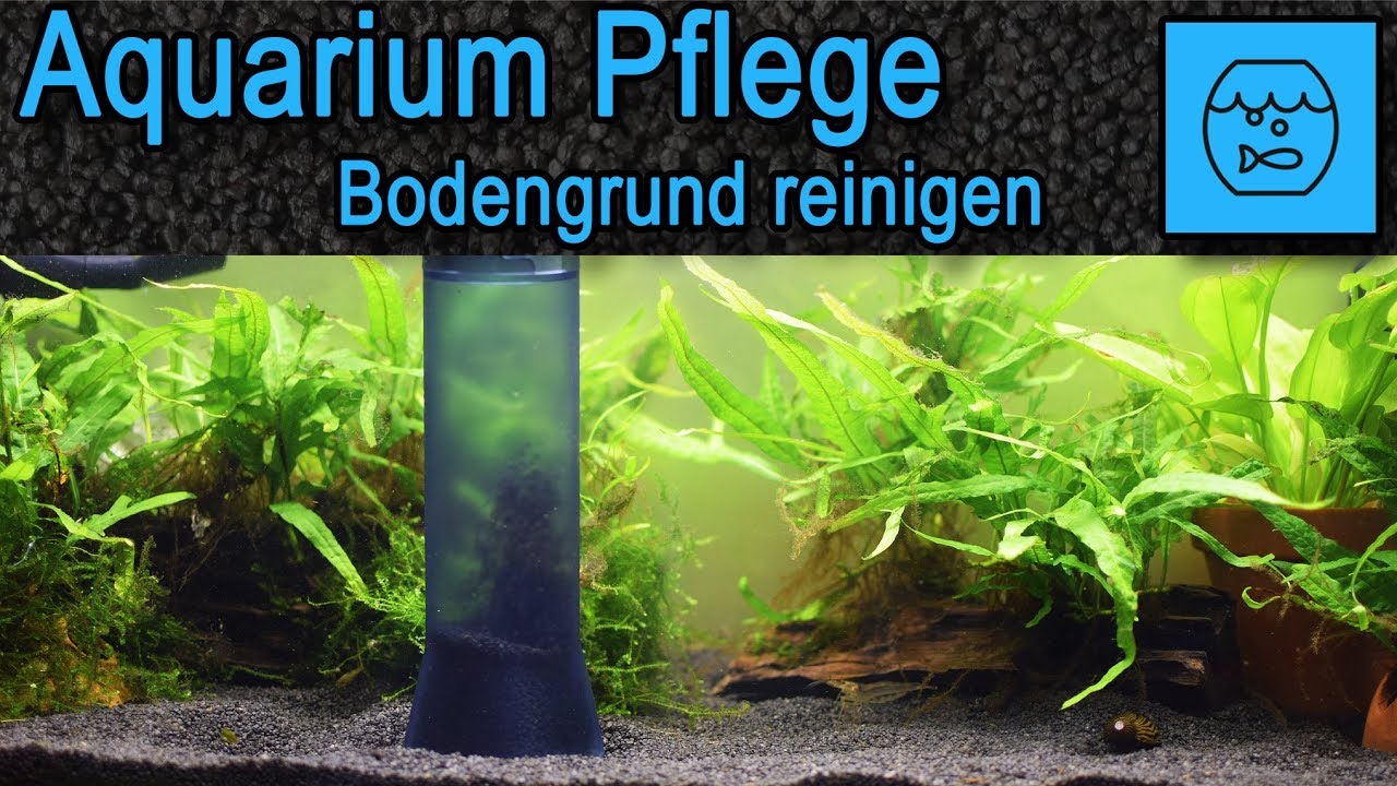 Aquarium Wasserwechsel und Bodengrund reinigen mit dem Mulmsauger - Juwel Aqua Clean 2.0 Unboxing
