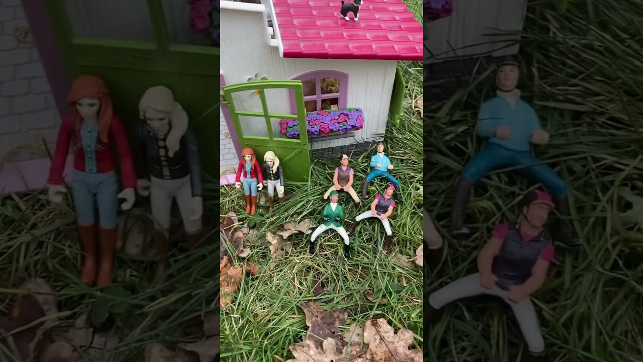 Ein Tag auf dem Reiterhof (Fail)😅😃