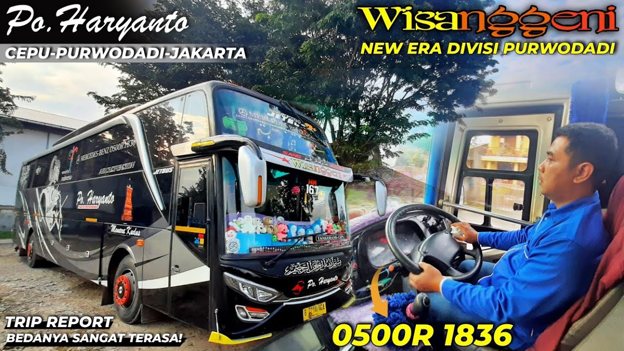 REBORN‼️ DIVISI PURWODADI BERBENAH‼️😱 - Trip Po Haryanto HM167 