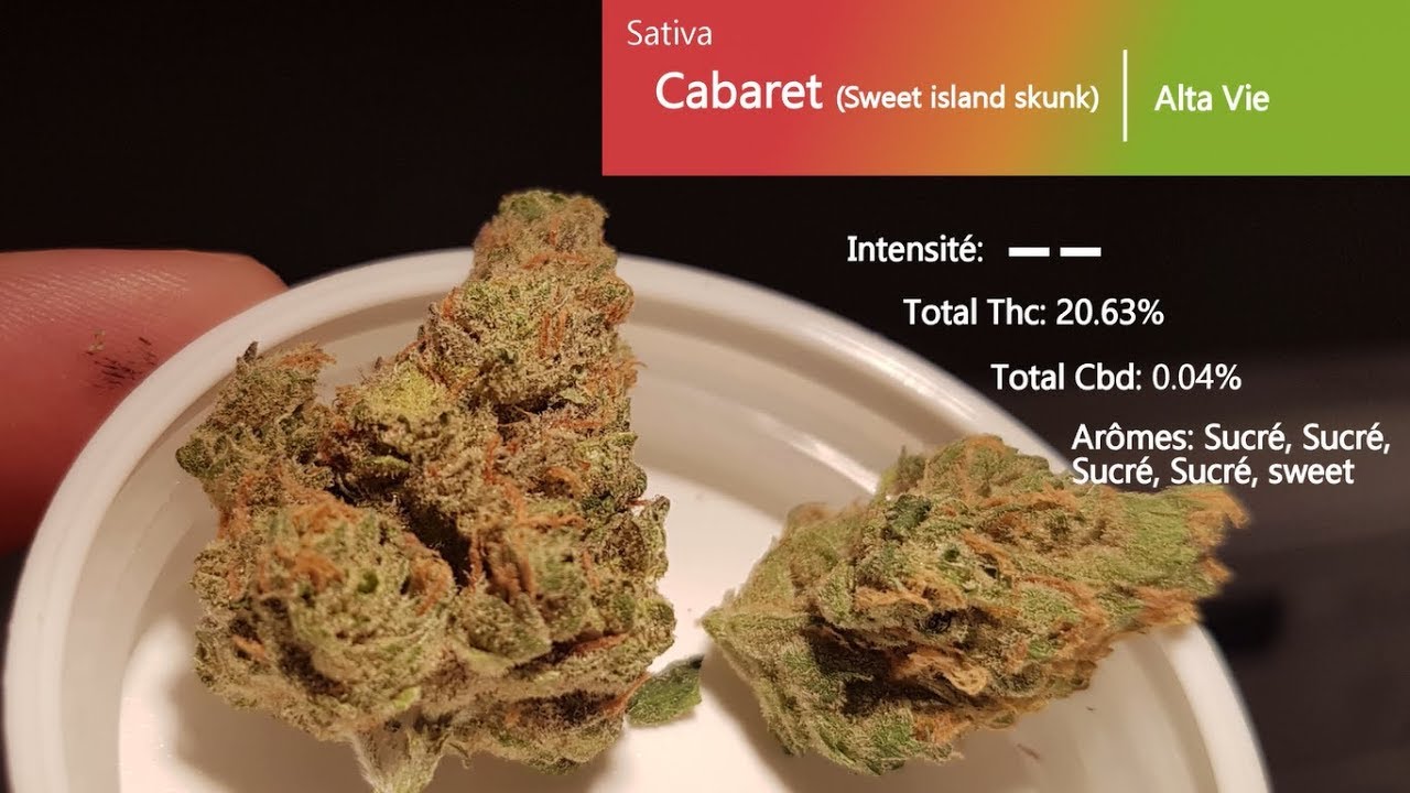 Cannabis r&eacute;cr&eacute;atif SQDC #06: Cabaret (Sweet Island Skunk)