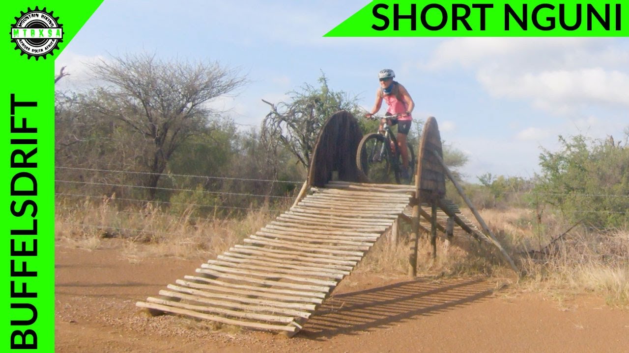 Buffelsdrift - Short Nguni | Gauteng, South Africa