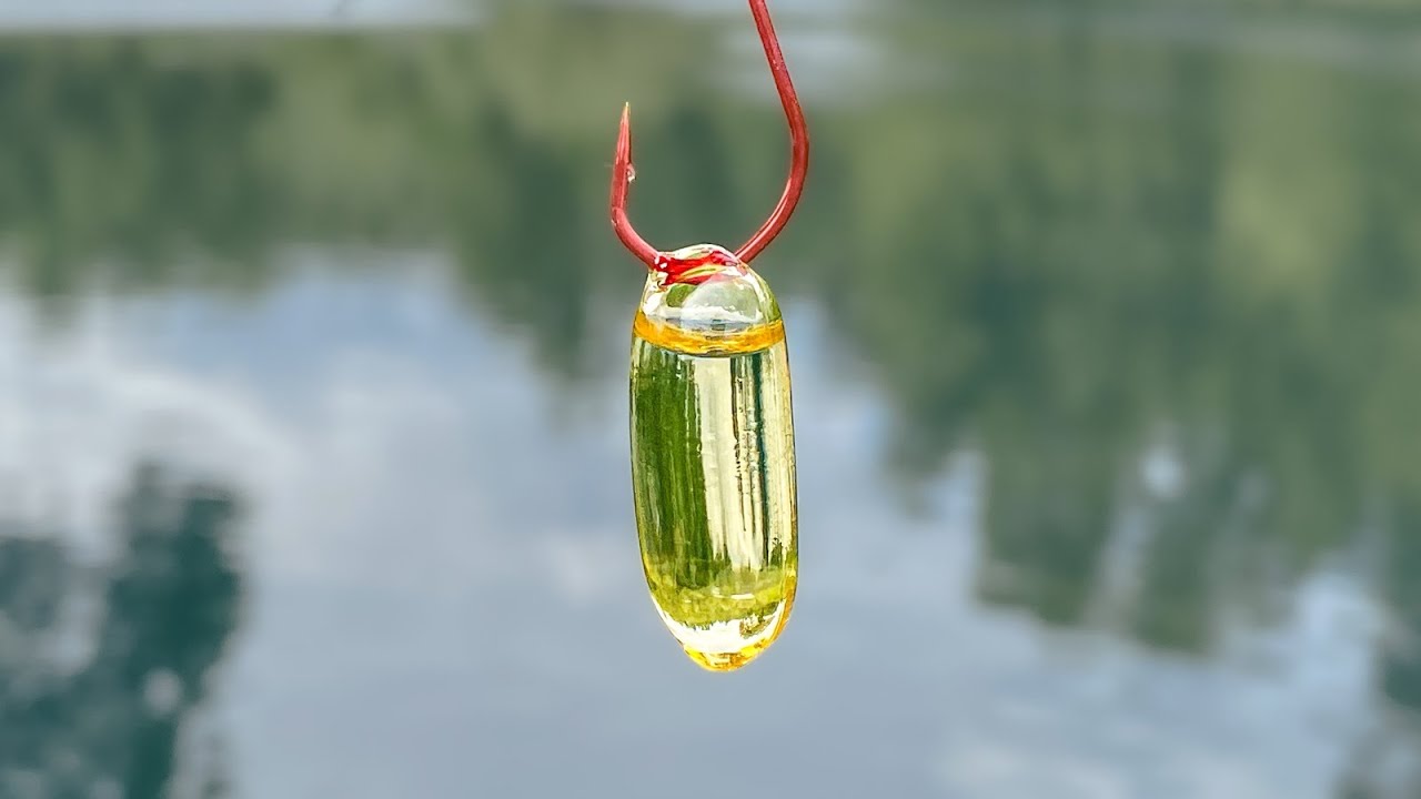 Will Fish Eat Fish Oil Pills?
