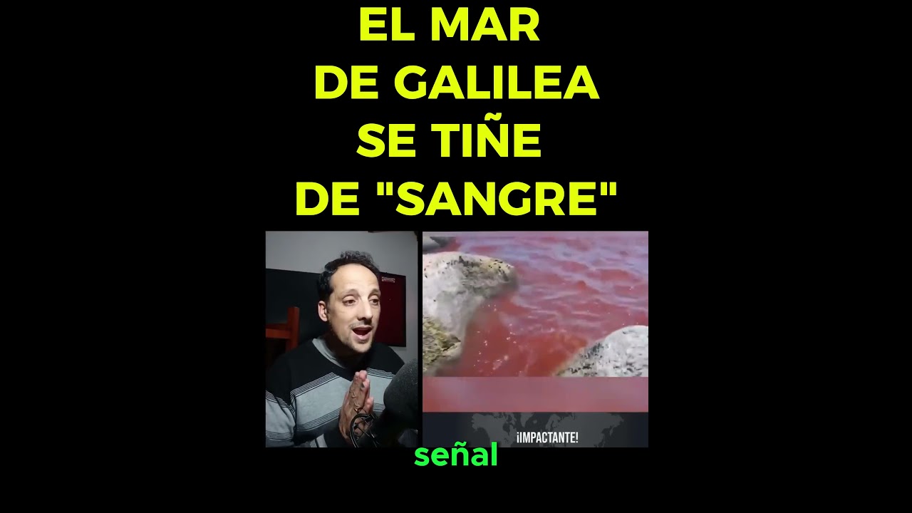 Asombro en Israel: Mar de Galilea recuerda las Plagas de Egipto 