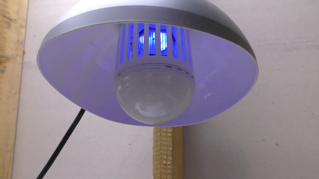 Bug Zap lights Do they work??