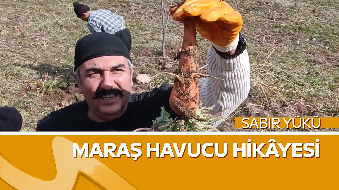 Topraktan Gelen Emek | Sabır Yükü’nde Abdullah Akbayır’ın Maraş Havucu Hikâyesi