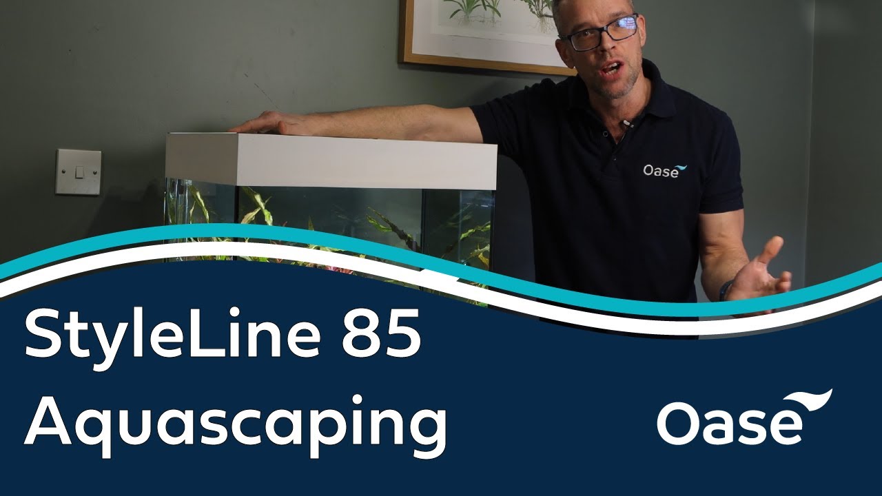 StyleLine 85 Aquascaping Step by Step with George Farmer | Oase Aquarium