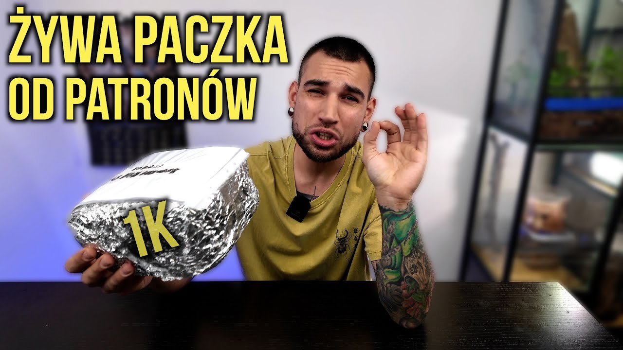 Ptaszniki od Patronów! Żywa paczka za tysiaka 🤩 Unboxing