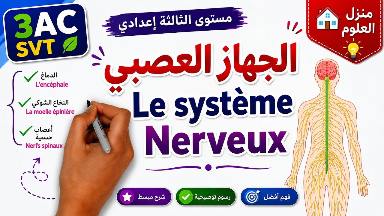 درس الجهاز العصبي مستوى الثالثة إعدادي الجزء الأول | Système Nerveux 3AC SVT
