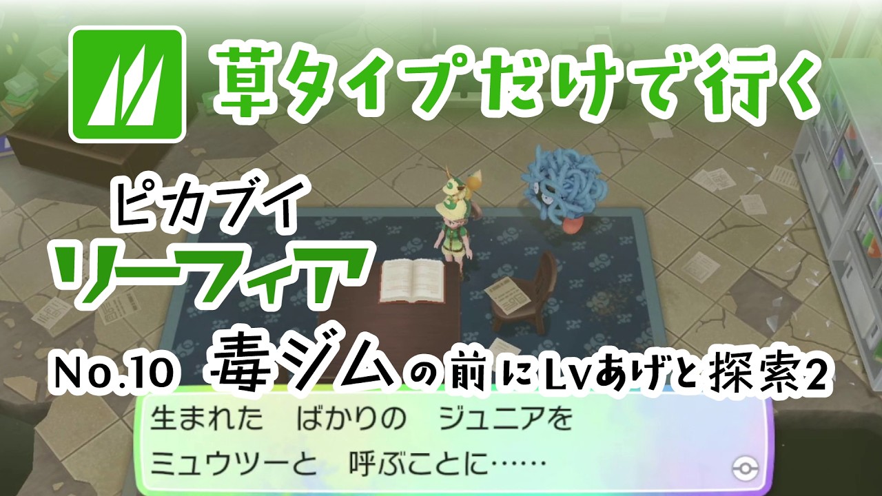 草タイプだけでレッツゴー リーフィア No.10 2026/2/15