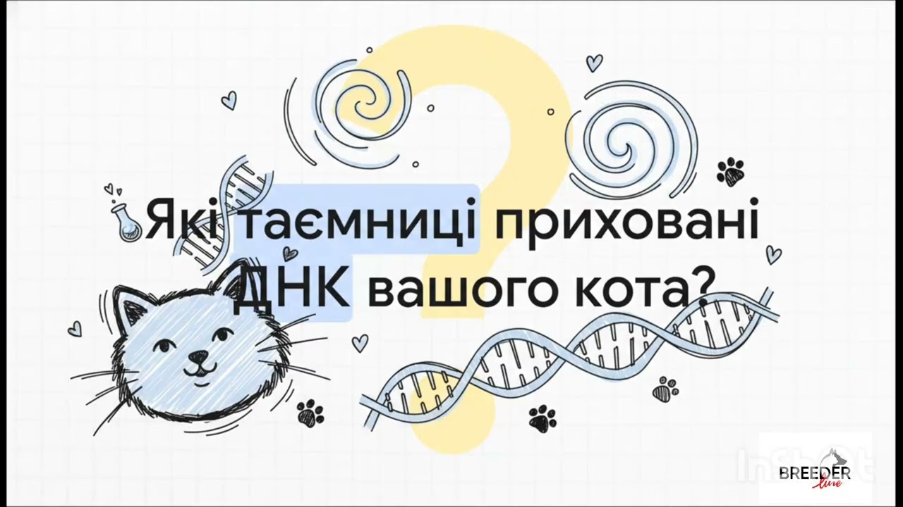 Кошеня: вакцинації та генетичні тести.