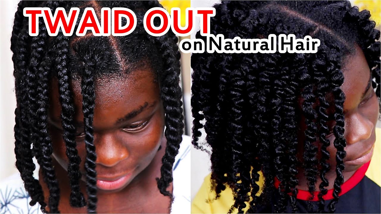 How to do a TWAID OUT on Natural Hair | Defined Curls on 4C Hair | DiscoveringNatural