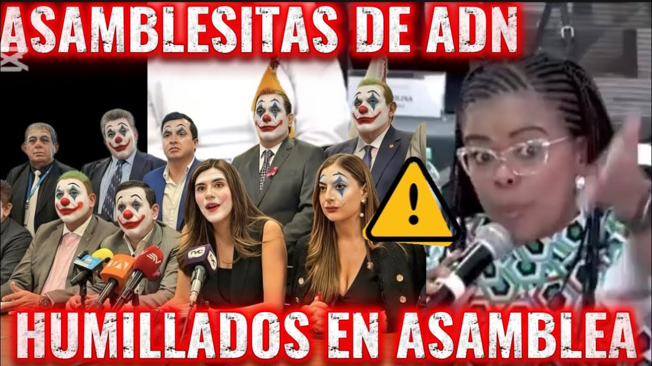 PAOLA CABEZAS DESTROZA A ASAMBLEISTAS DE ADN