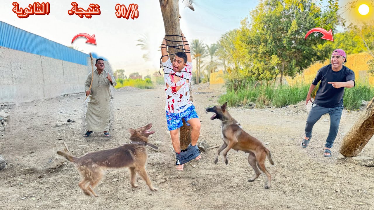 (نتيجة الثانويه) لما تجيب مجموع وحش وتسقط في الثانويه العامه وابوك يعرف😂😱|عمر نصر