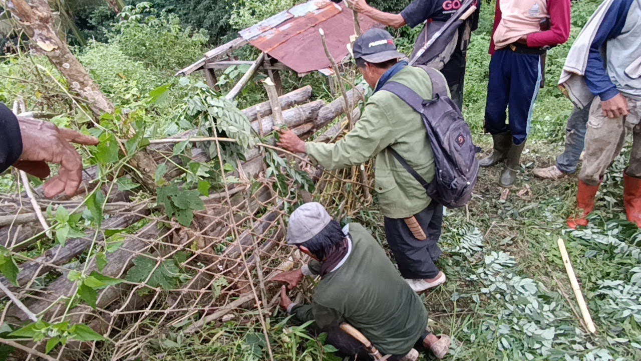 Jaring Hama Babi Hutan warga paguyuban moro babi Desa Gunungmanik mulai beraksi