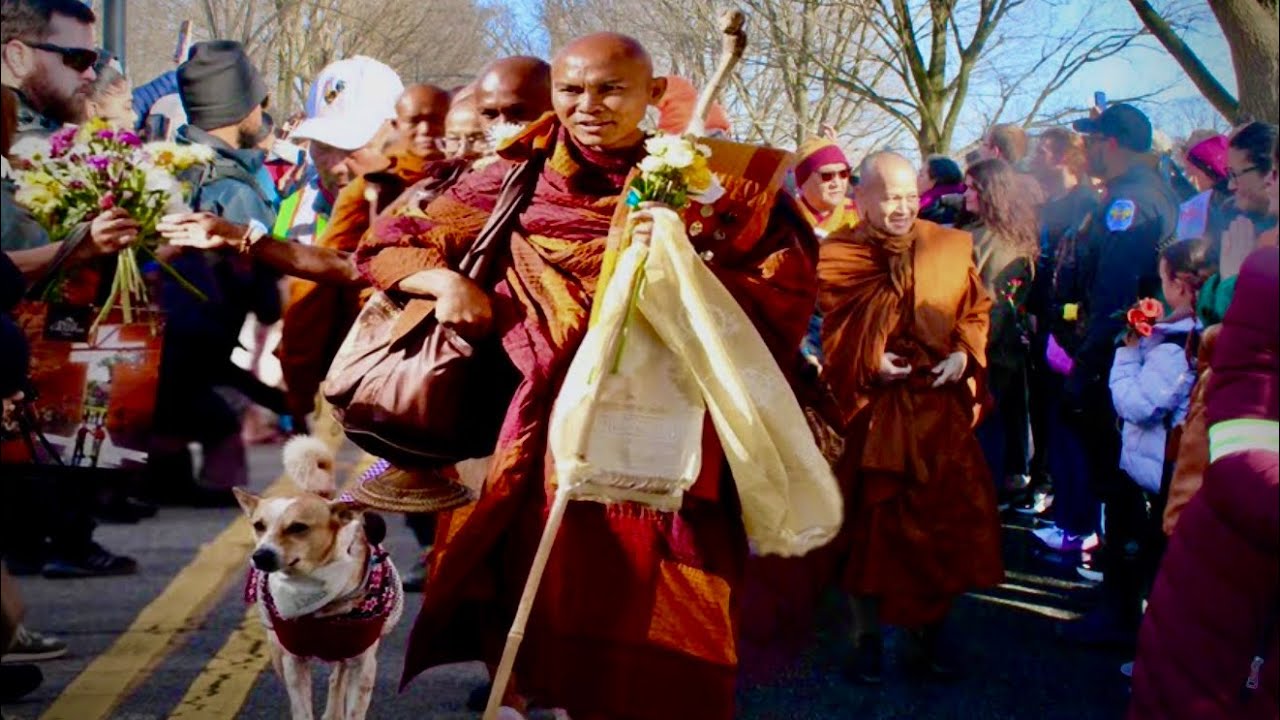 Buddhist Monks and Aloka ( a rescue dog ) gather in front of The Lincoln Memorial , Washington D.C. 