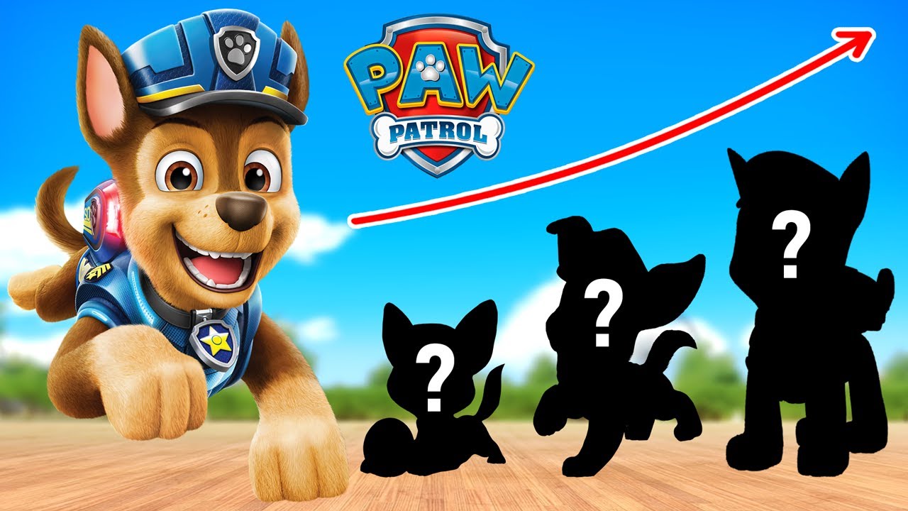 Paw Partol Hero Academy: Chase, Skye And Other Growing Up Transformation!
