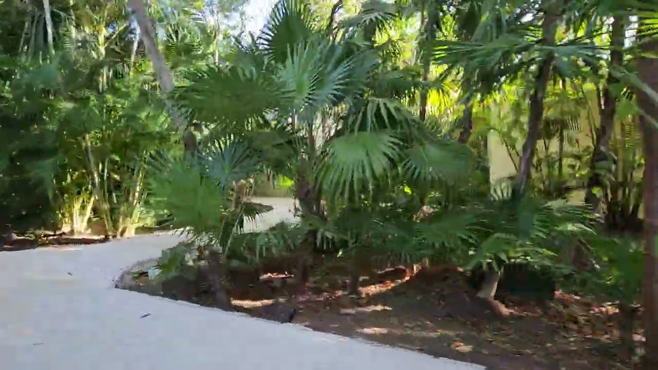 Blue Diamond Luxury Boutique Hotel- Playa Del Carmen, Mexico- ride to the room