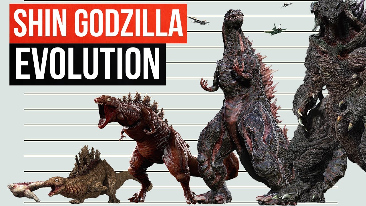 Evolution Of Shin Godzilla | Size Comparison