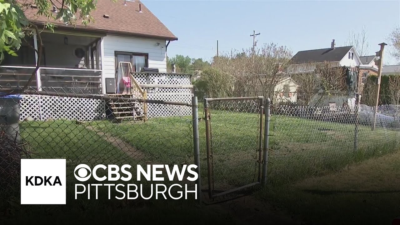 Child attacked, puppy killed during dog attack in Verona, police say