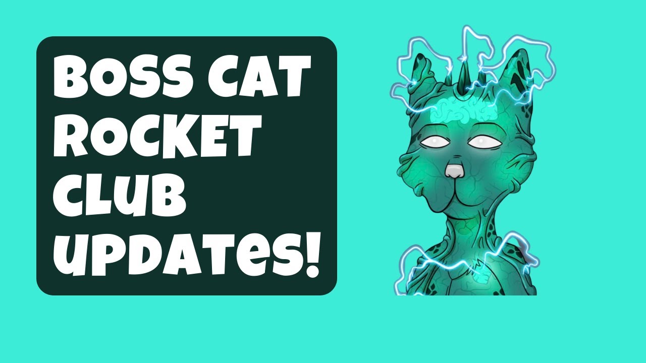 What's New With Boss Cat Rocket Club?