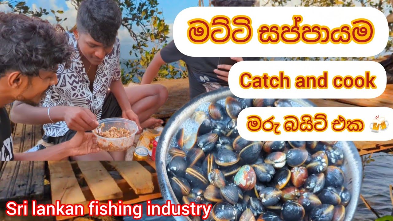 ගහ උඩ පැලේ ඔයාලත් එන්න මට්ටි කන්න . / catch and cook / kadal matti 
