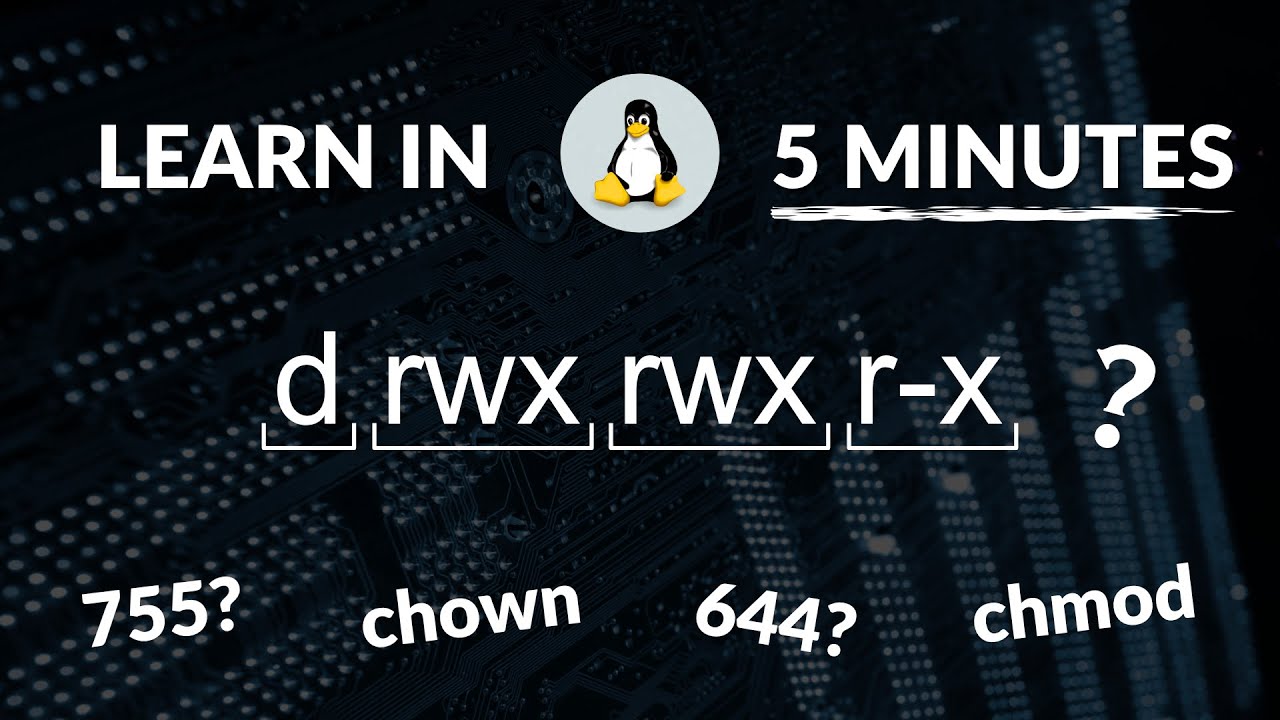 Права доступа к файлам в Linux за 5 минут | ОБЯЗАТЕЛЬНО К ПРОСМОТРУ!