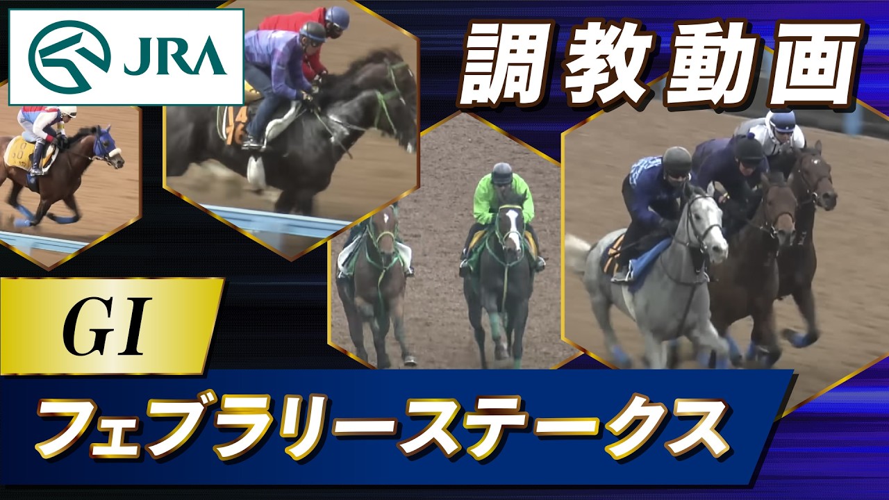 【調教動画】2026年 フェブラリーステークス｜JRA公式