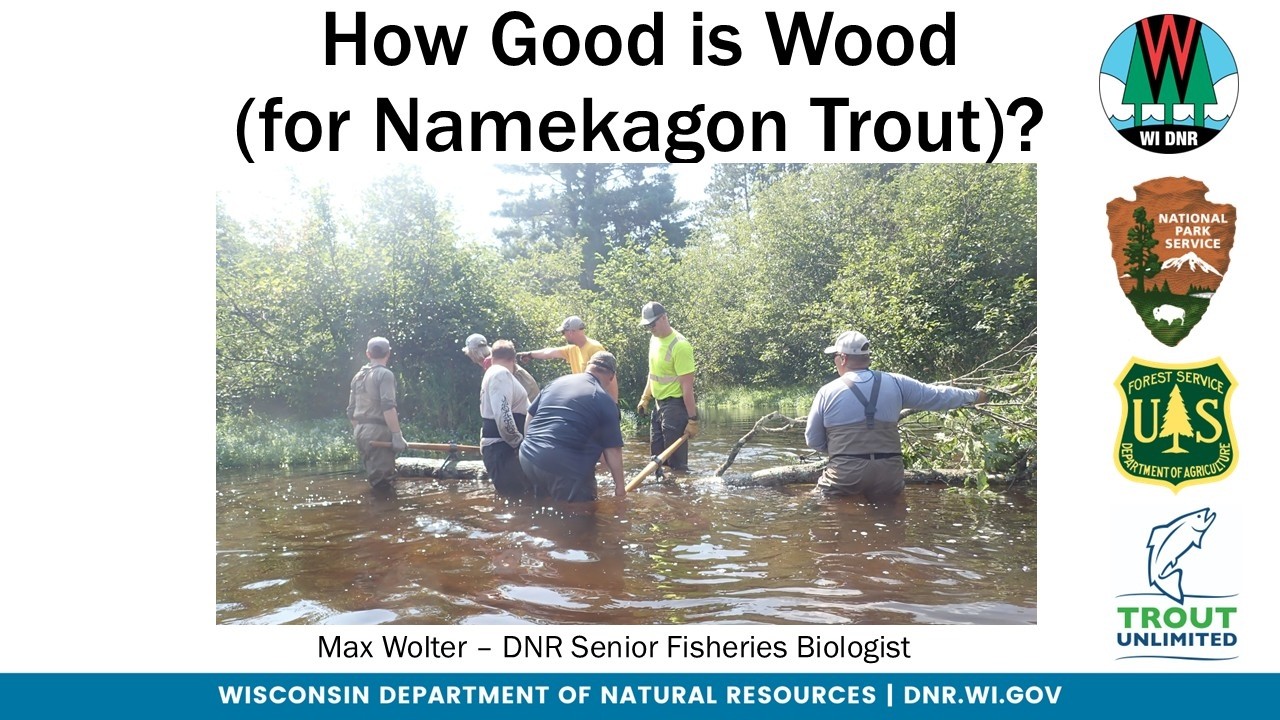 Upper Namekagon River - how good is wood for improving trout habitat?