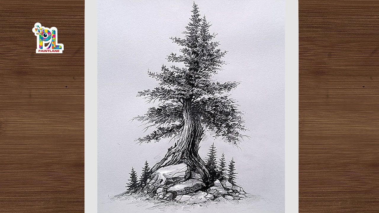 How to draw Mountain Tree by Pencil Sketch and Shading