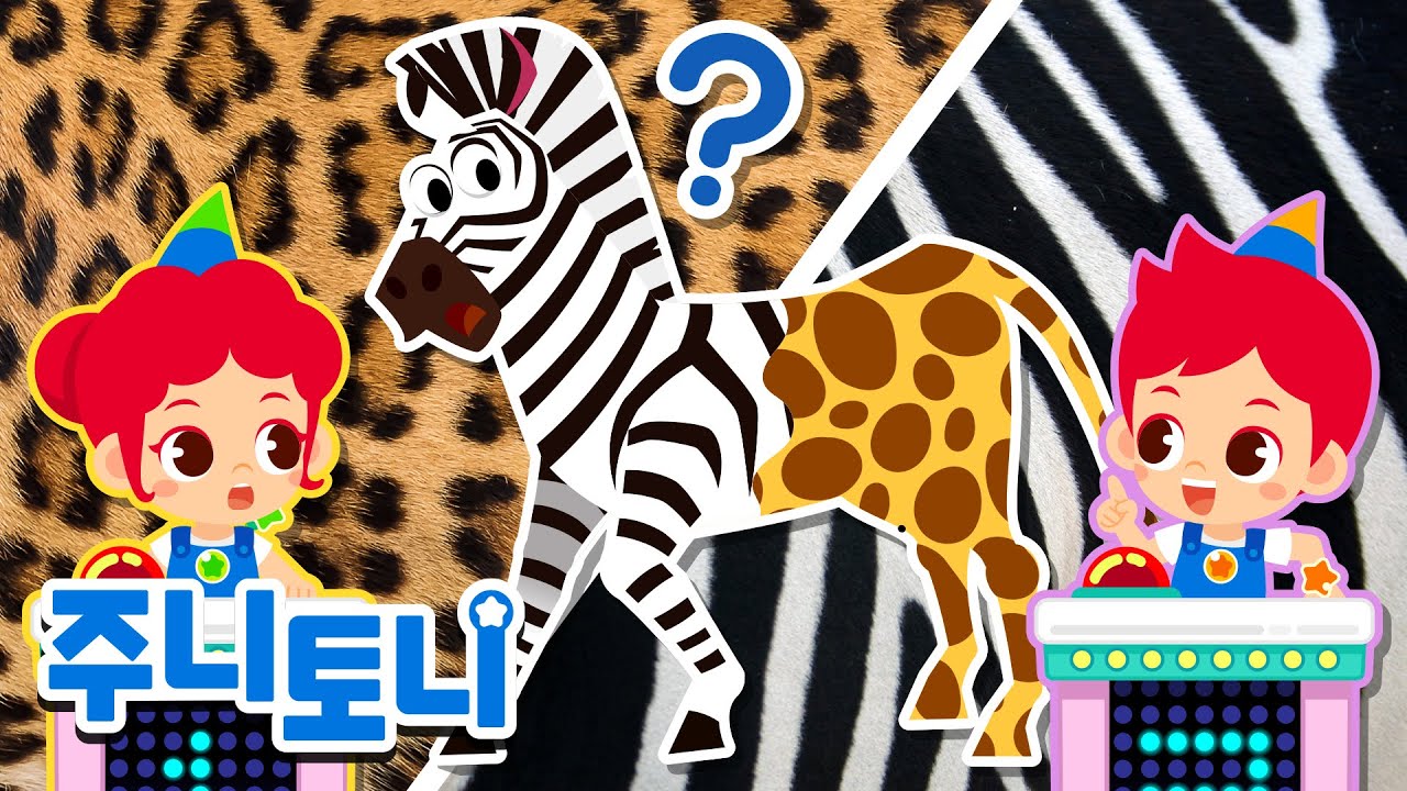 [생생탐구] 동물 무늬 퀴즈 쇼 | 이건 어떤 동물의 무늬일까? | 🦚🦓주니토니와 함께하는 동물 퀴즈 쇼! | 동물동요 | 인기동요 | 주니토니 | JunyTony