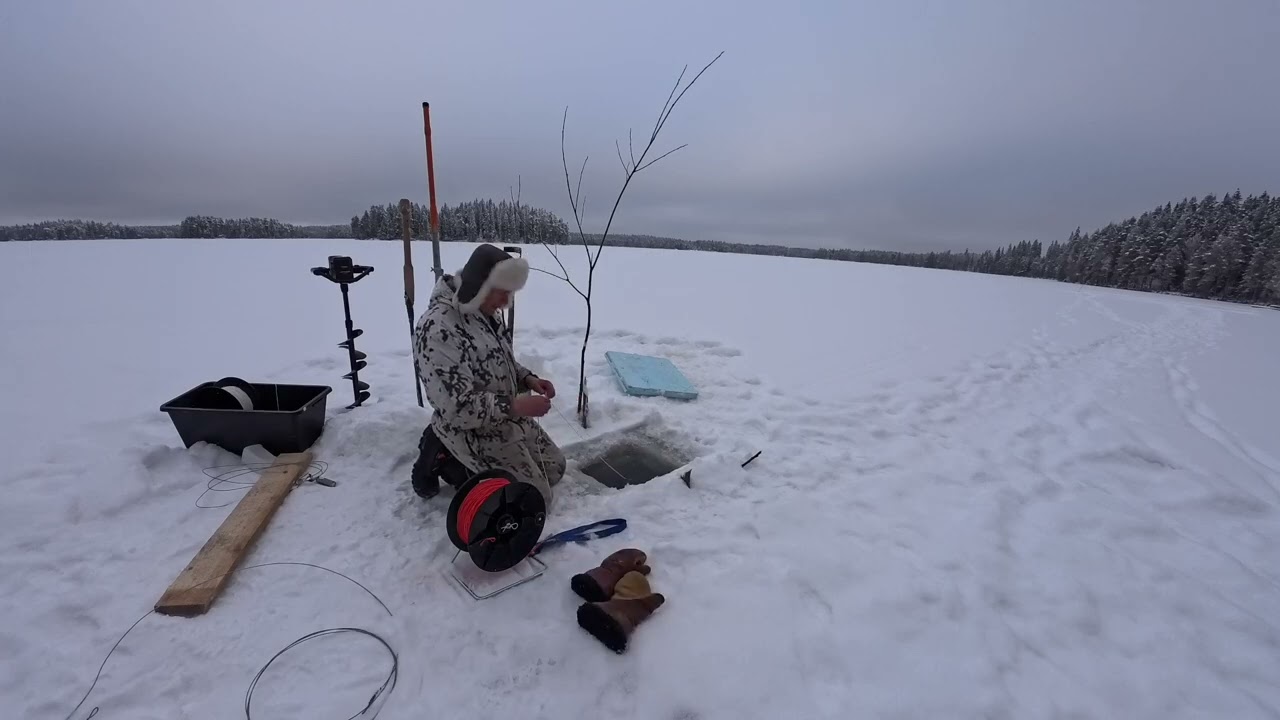 Kalan ahneita vieraita verkkoavannolla!! Koetaan talviverkot eka kartaa yhden avannon tekniikalla.