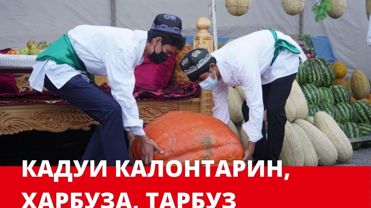 Калонтарин кадуву харбуза дар Тоҷикистон