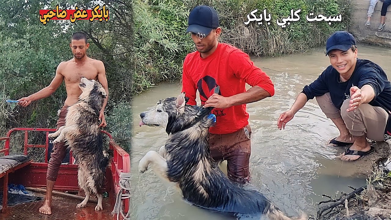 اخذت كلبي بايكر وكوكو سبحتهن بلمشروع شوفو بايكر شسوة