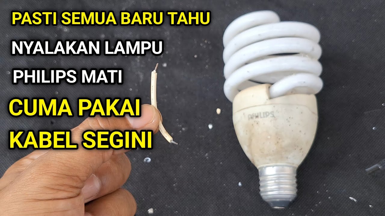 Trik Termudah Mudah Perbaiki Lampu Philips Mati Total