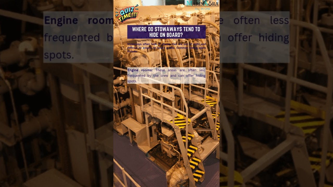Where do stowaways tend to hide on board? #marinaura #quiz #maritime #quizanswer